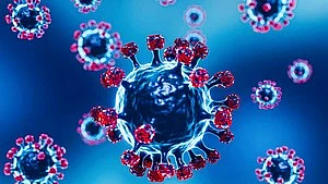 JN.1 represents 'very serious evolution' of Covid virus, say global experts