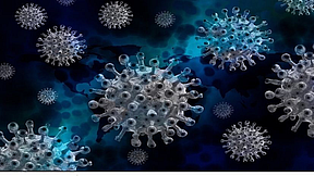 Pandemic onset saw spike in antidepressant use among female young adults: study