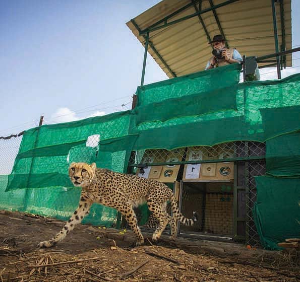 Someone very high up wanted the project to appear successful (photo: National Herald archives)