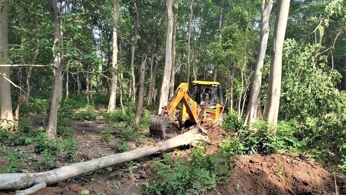 Allegedly illegal tree felling by the state department to allow construction in protected areas in Corbett, Uttarakhand (photo courtesy @UpendrraRai/X)