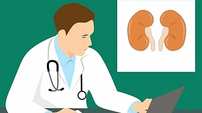 World Kidney Day is observed annually on 14 March to raise awareness about the various risks posed to kidneys. (representative image) (photo: IANS)
