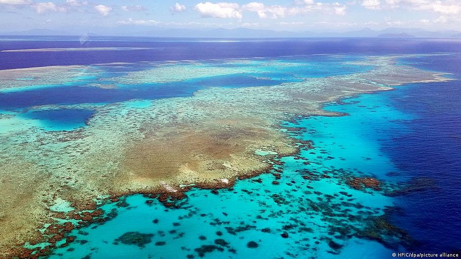 Great Barrier Reef suffers 'mass bleaching event'