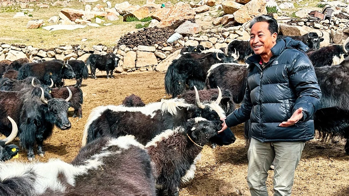 Sonam Wangchuk in his natural habitat (photo: @Wangchuk66/X)