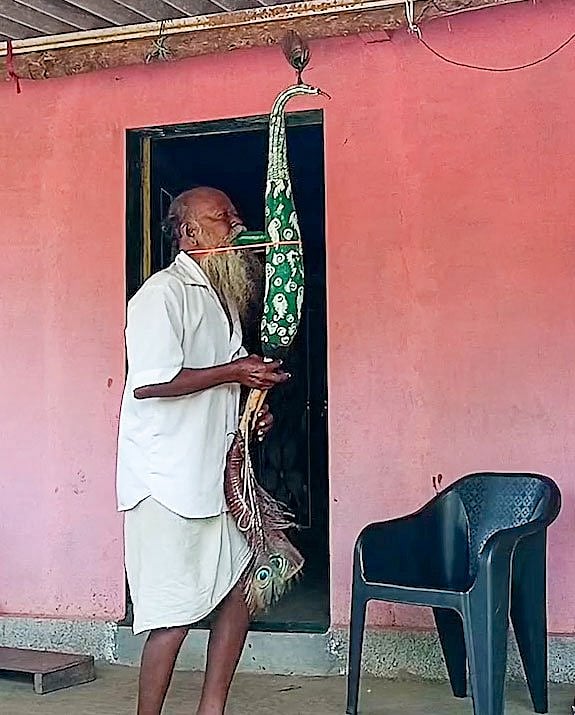 "Tarpa is just like a family. There is a male and a female. When I blow air, they unite, and the sound you get is magical. Like a stone, it is lifeless. But with my breath, it comes alive"
