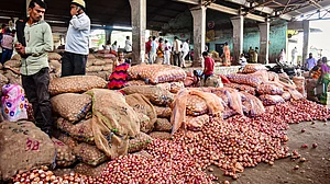 Maharashtra onion growers and exporters left in the lurch