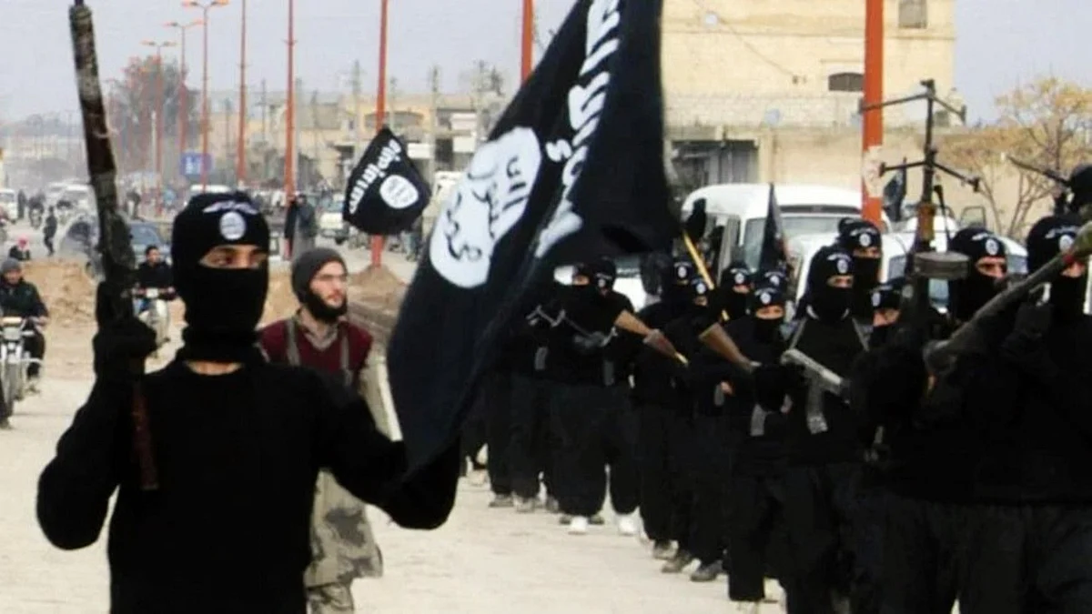 Representative image of an IS rally