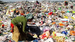 India among 12 nations producing 60 pc of world's mismanaged plastic waste: Report