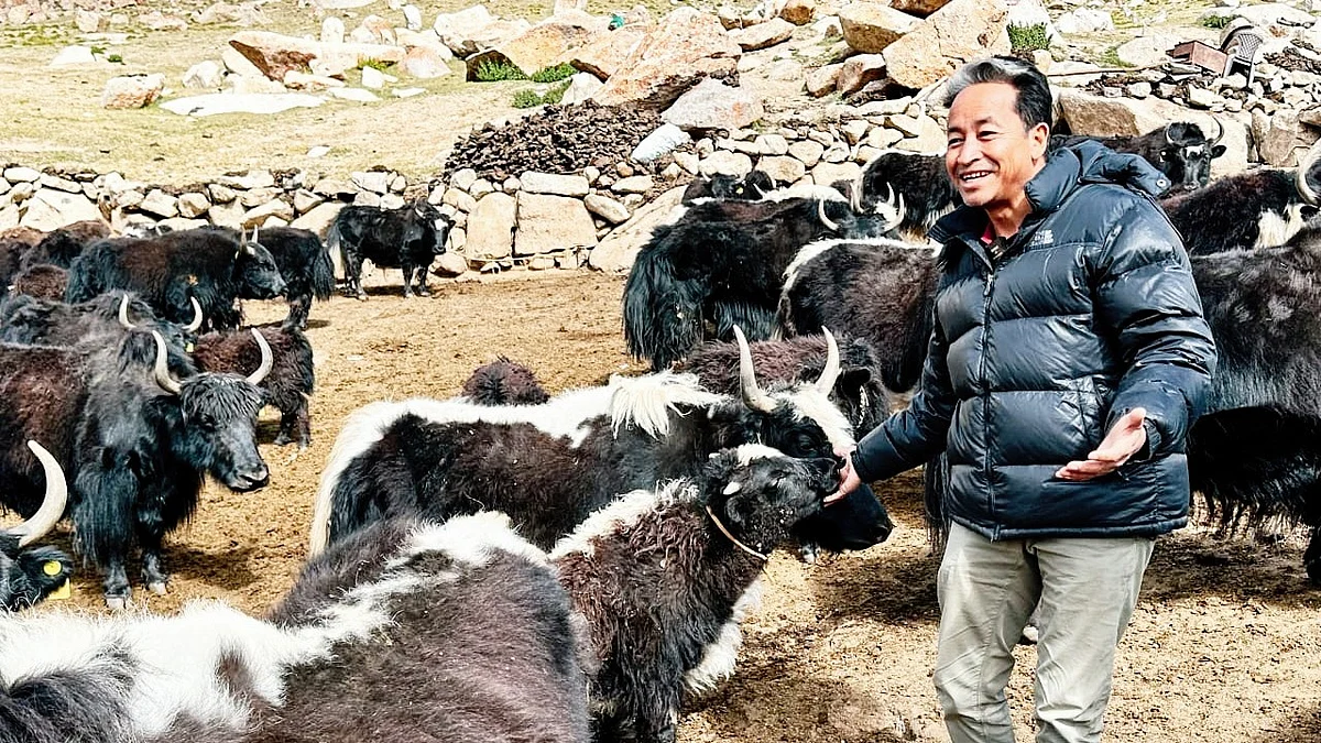 Sonam Wangchuk in his natural habitat (photo: @Wangchuk66/X)
