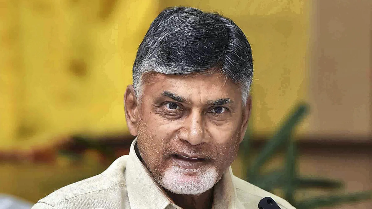 Andhra Pradesh CM designate Chandrababu Naidu (photo: PTI)