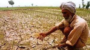 Maharashtra's Amravati records 557 farmer suicides in 6 months