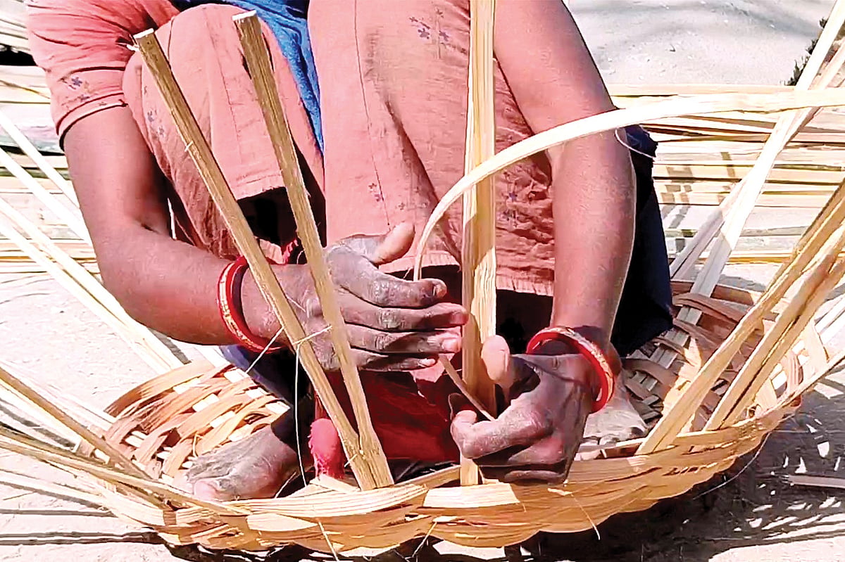 Weaving the 'pechni betee' strips into the 'toli' form to build the actual basket is left to women and children