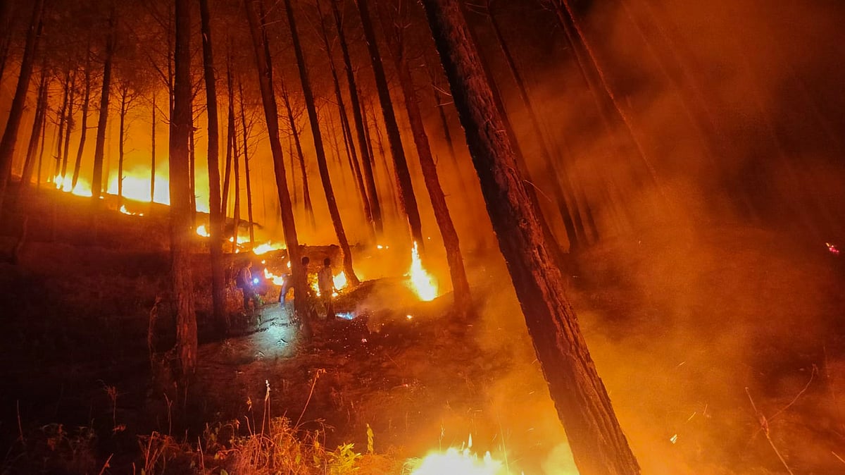 Why the world needs to declare ecocide an international crime