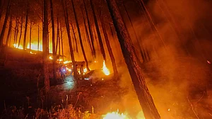 A forest fire in Uttarakhand (file photo)