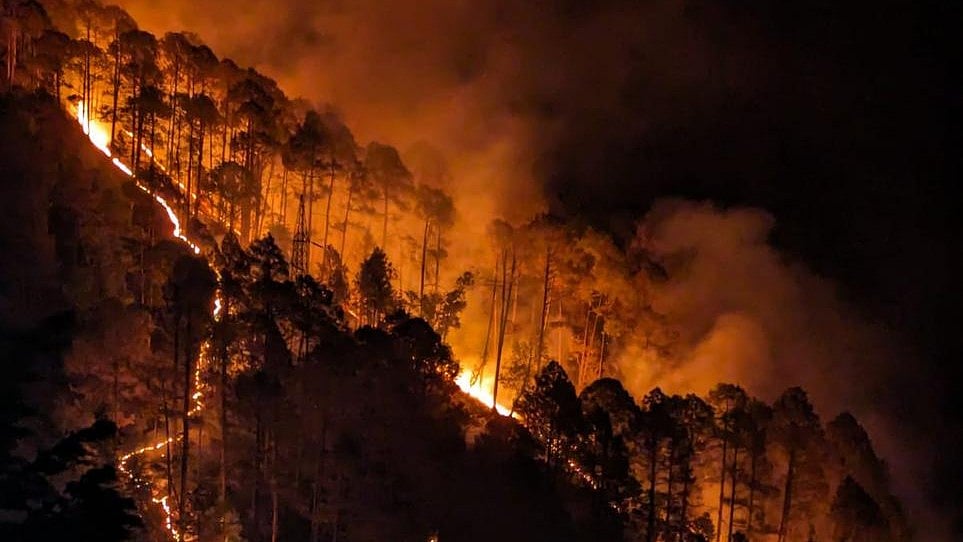 Forest fires in Uttarakhand is attributed to a blend of natural phenomena and human activities