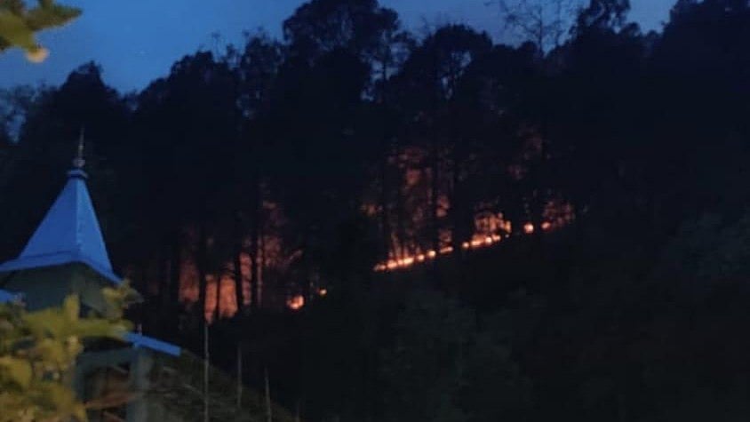 Factors such as temperatures, precipitation, vegetation, and moisture levels also influence the occurrence of forest fires
