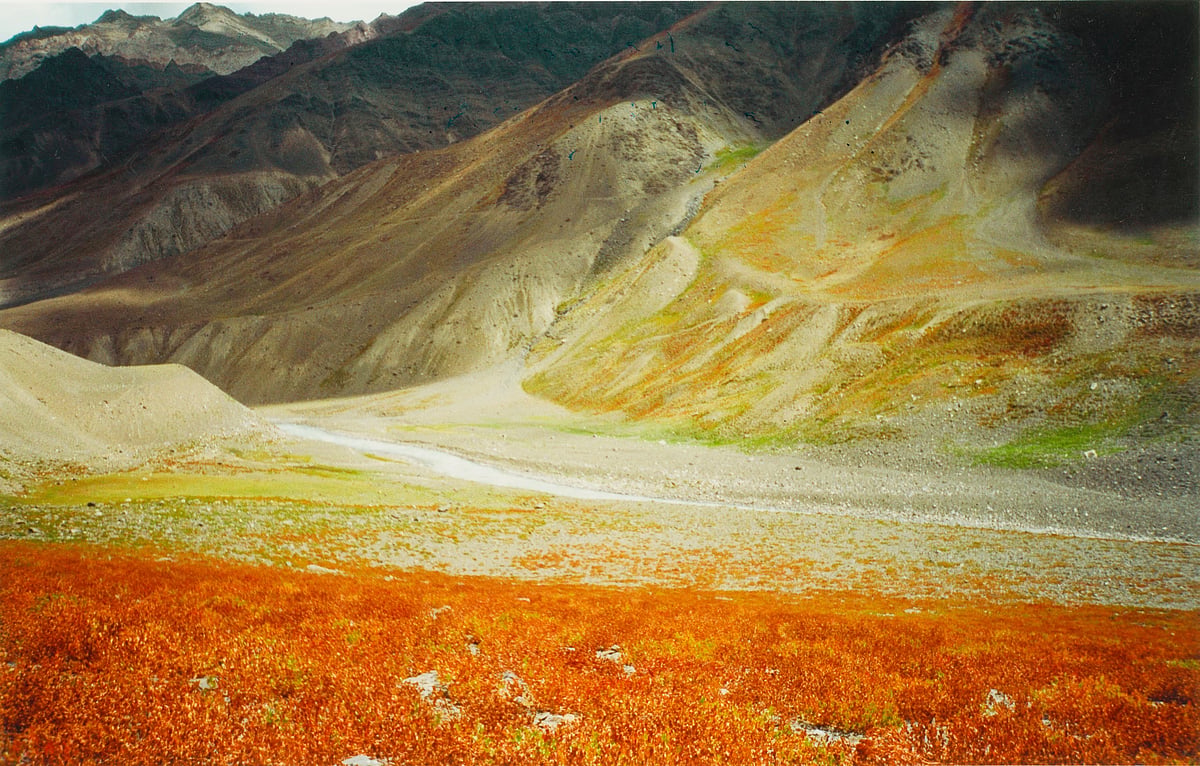 The colours of Pin valley. Pin river is in the middle ground. Photo by author
