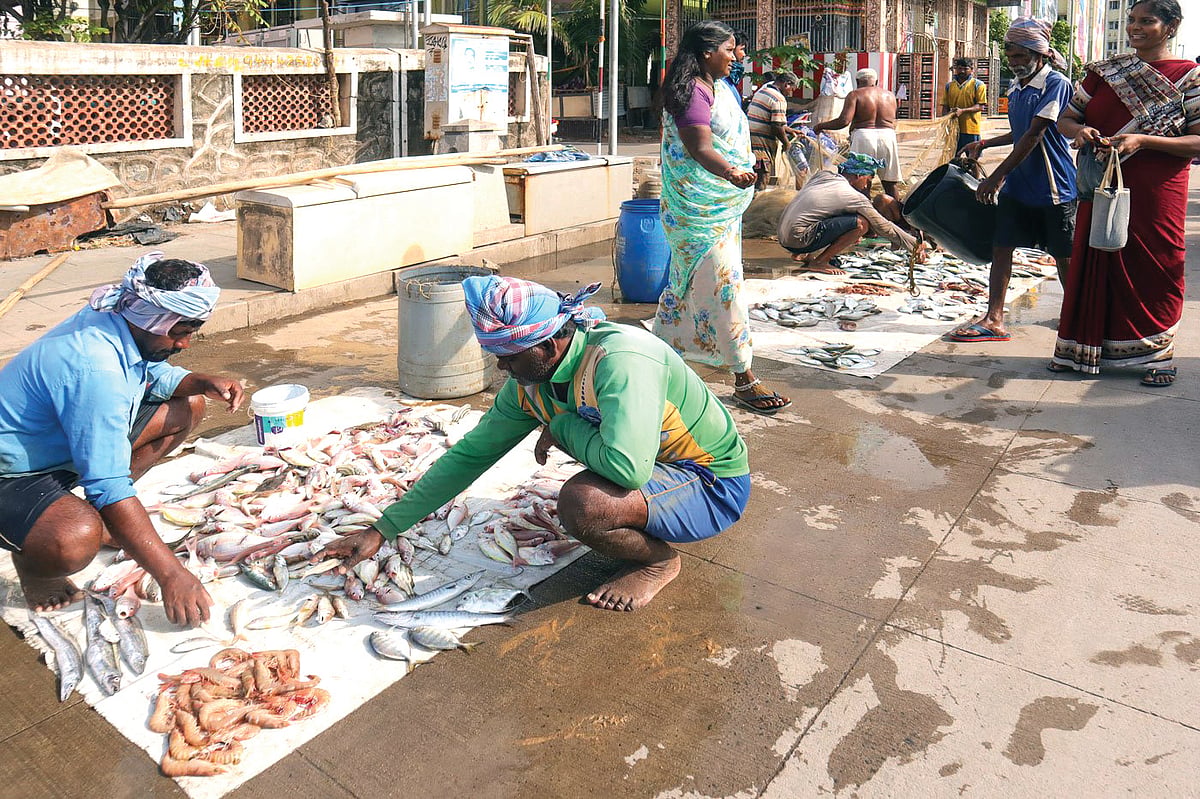 Off Marina beach, fishermen sort the catch of the day (photo: Manini Bansal)