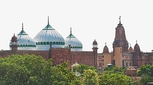 Allahabad HC reopens Shahi Idgah case, to hear Muslim side on 4 June