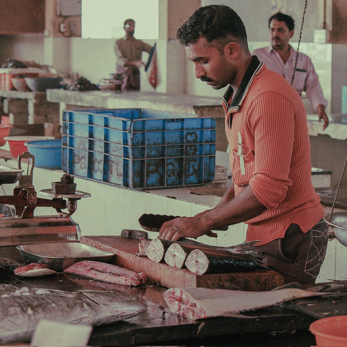 Thalassery fish market (photo: @Gypsyshutter/X)