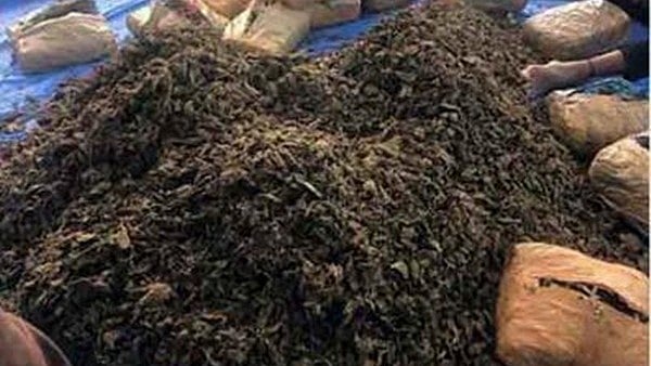 Delhi Police seizes over 200 kg of 'ganja' from truck, 4 held