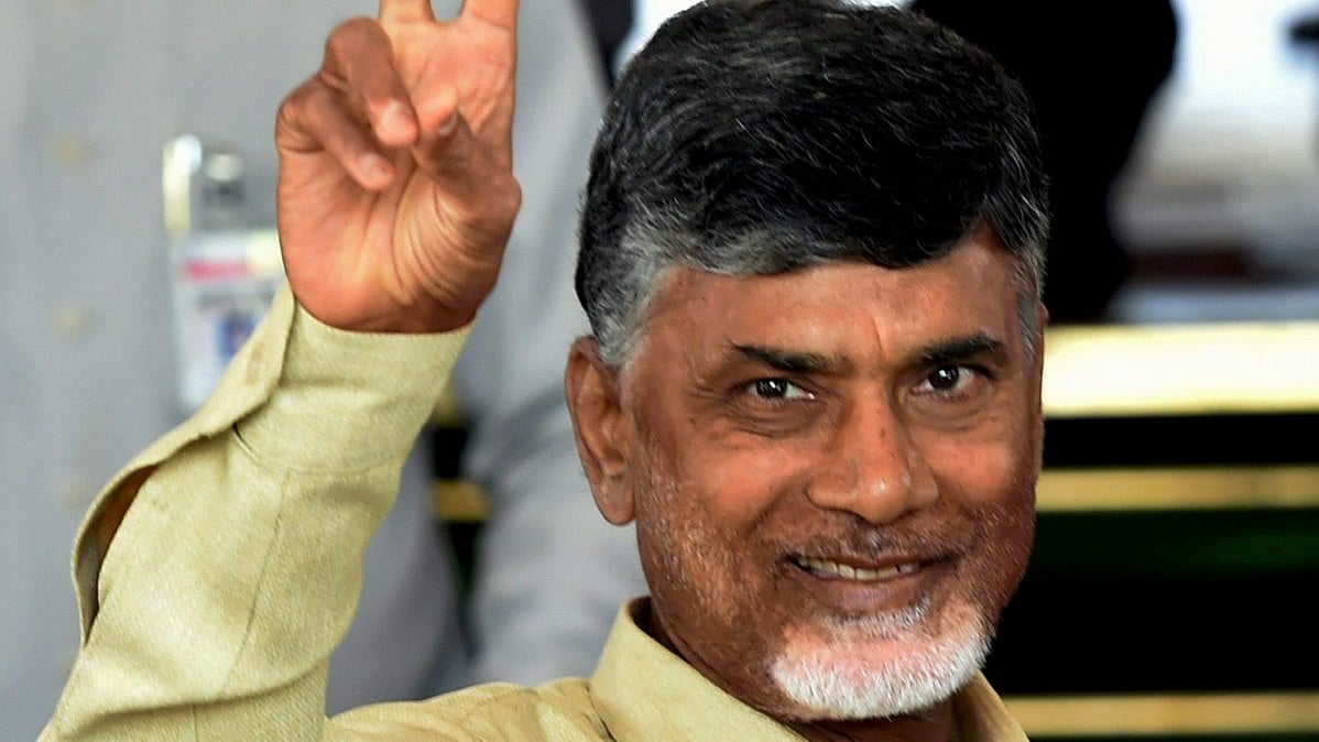 N. Chandrababu Naidu (file photo)