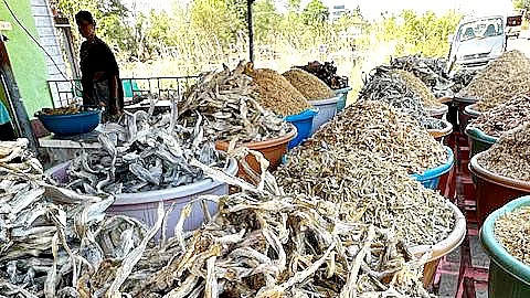 The dried fish market fetches more for the Koli fisherfolk than fresh catch (photos: Denise D'Silva)