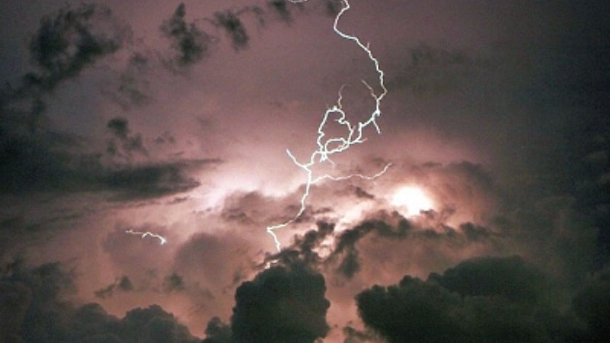 UP records 54 deaths due to lightning, snake bite and drowning in a day