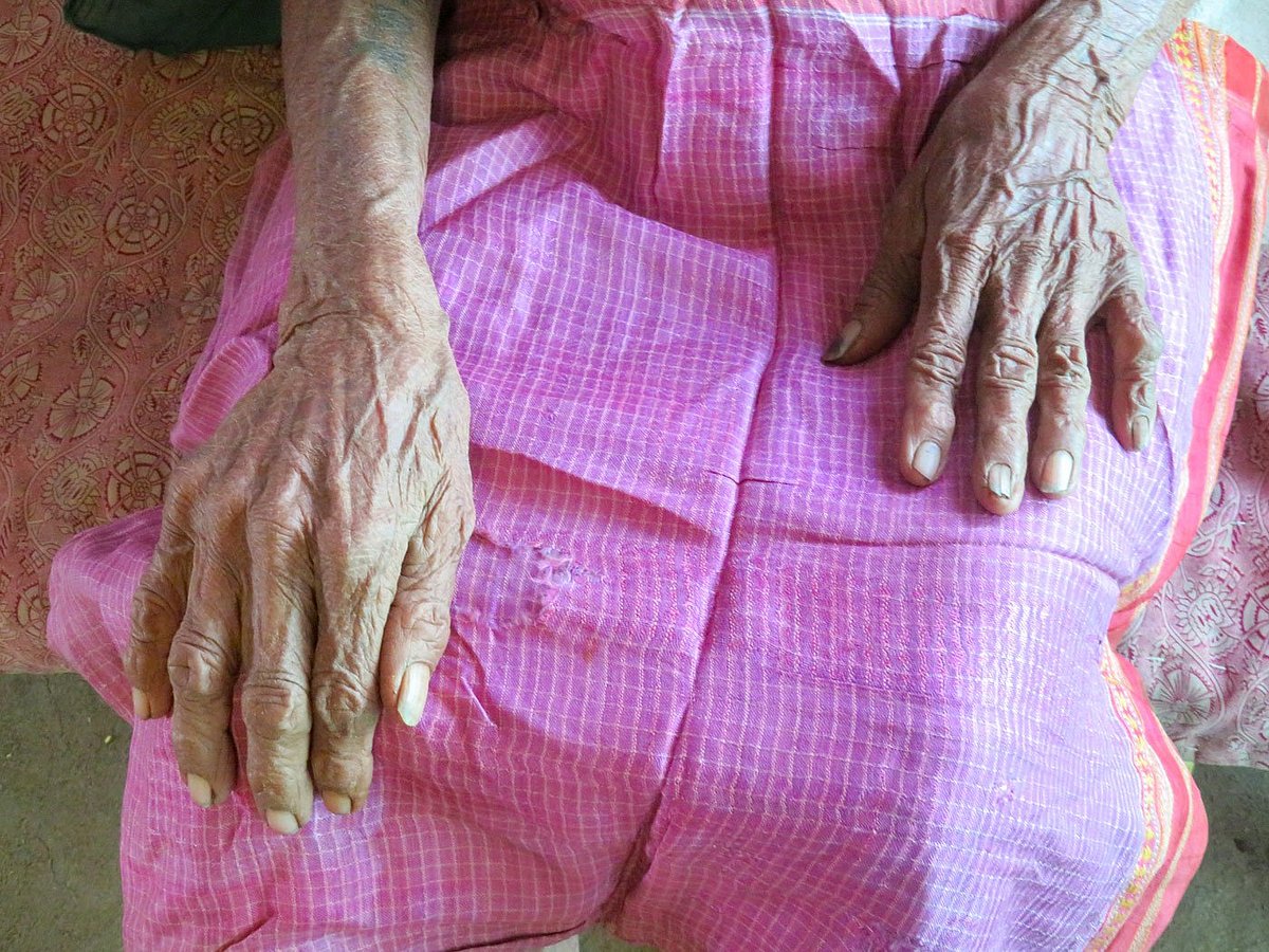 A close up of the sari