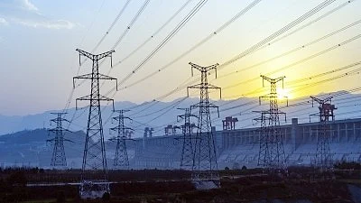 The protest demanded an immediate halt to the installation of smart meters (photo: IANS)