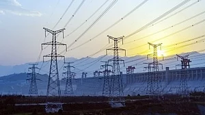 The protest demanded an immediate halt to the installation of smart meters (photo: IANS)