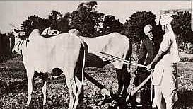 Pt Nehru interacts with a farmer tilling his land