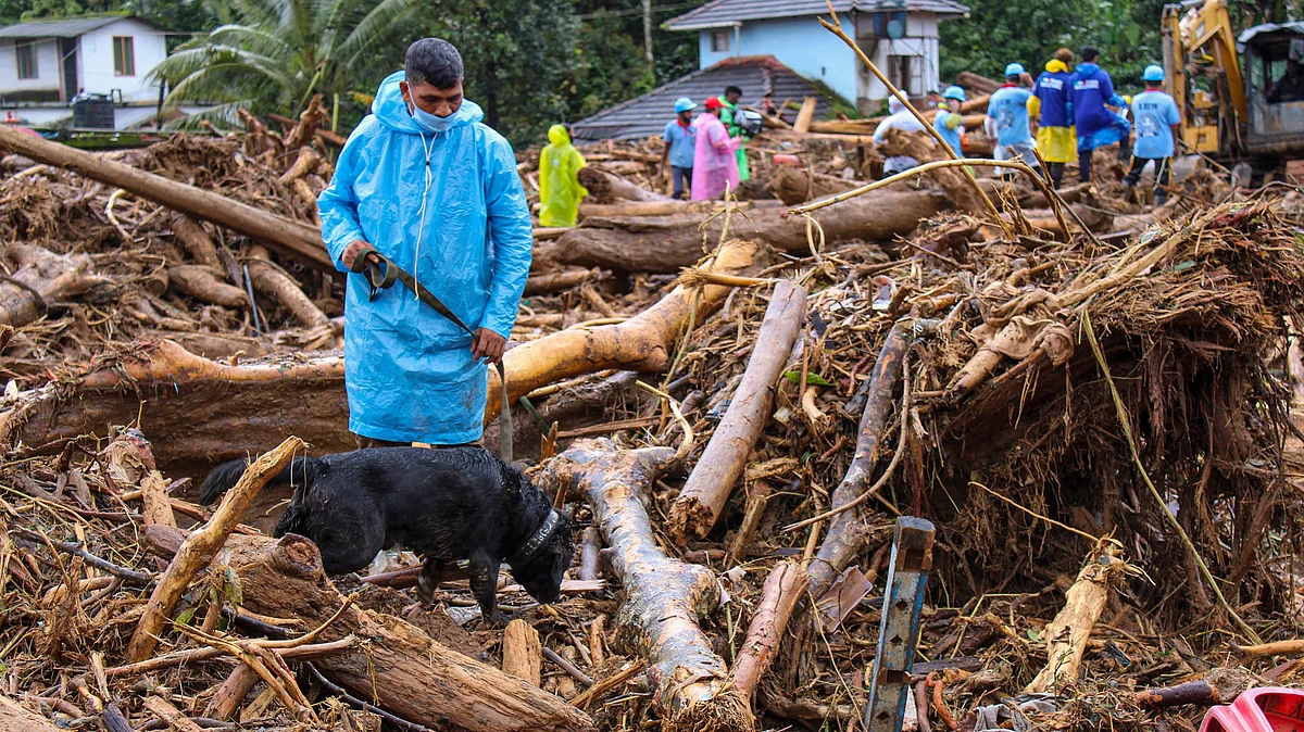 Kerala: Did the LDF govt delay Wayanad rehabilitation efforts?