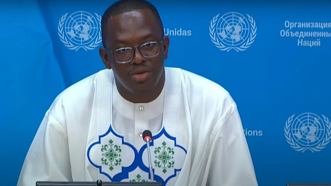 Michael Imran Kanu speaks to reporters on Thursday, 1 August, 2024, at the UN