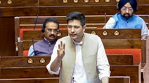 Raghav Chadha in the Rajya Sabha (file photo)