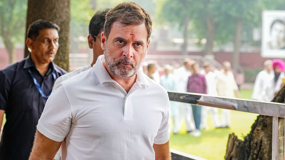 Congress leader Rahul Gandhi (photo: PTI)