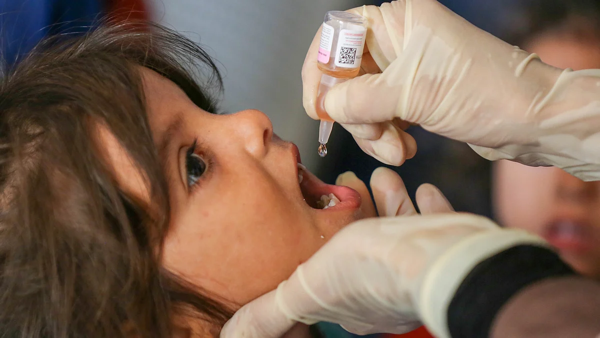 The first round of the polio vaccination campaign in Gaza ended