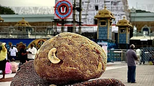 Supreme Court rejects plea against Andhra panel in Tirupati laddu adulteration case