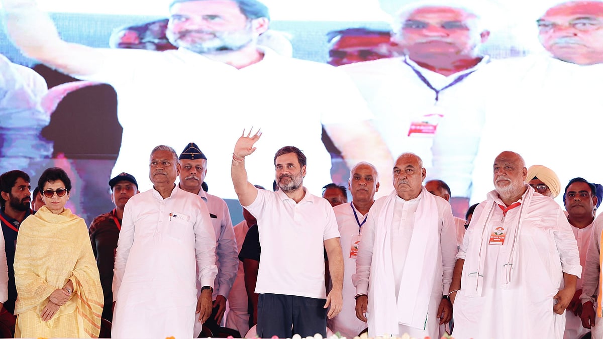 Congress is going to sweep the Haryana elections: Rahul Gandhi