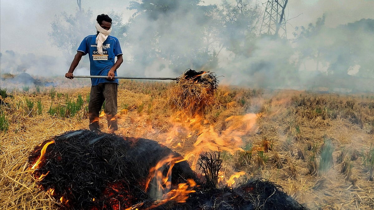 Imposed Rs 13.25 lakh fine in a month to stop stubble burning: PPCB to NGT