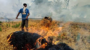 Imposed Rs 13.25 lakh fine in a month to stop stubble burning: PPCB to NGT