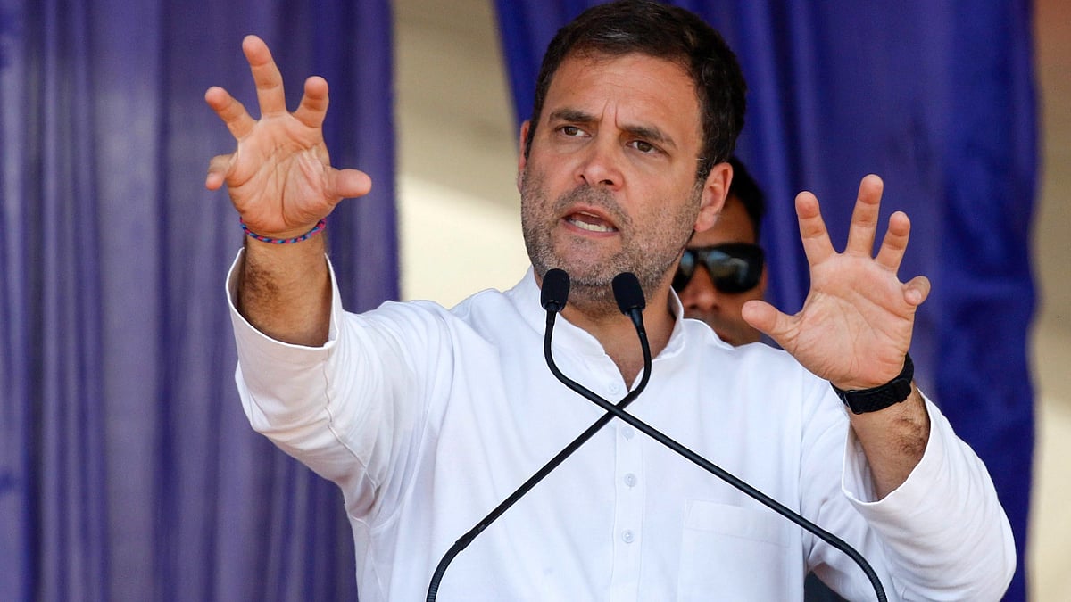 Congress leader Rahul Gandhi (photo: PTI)