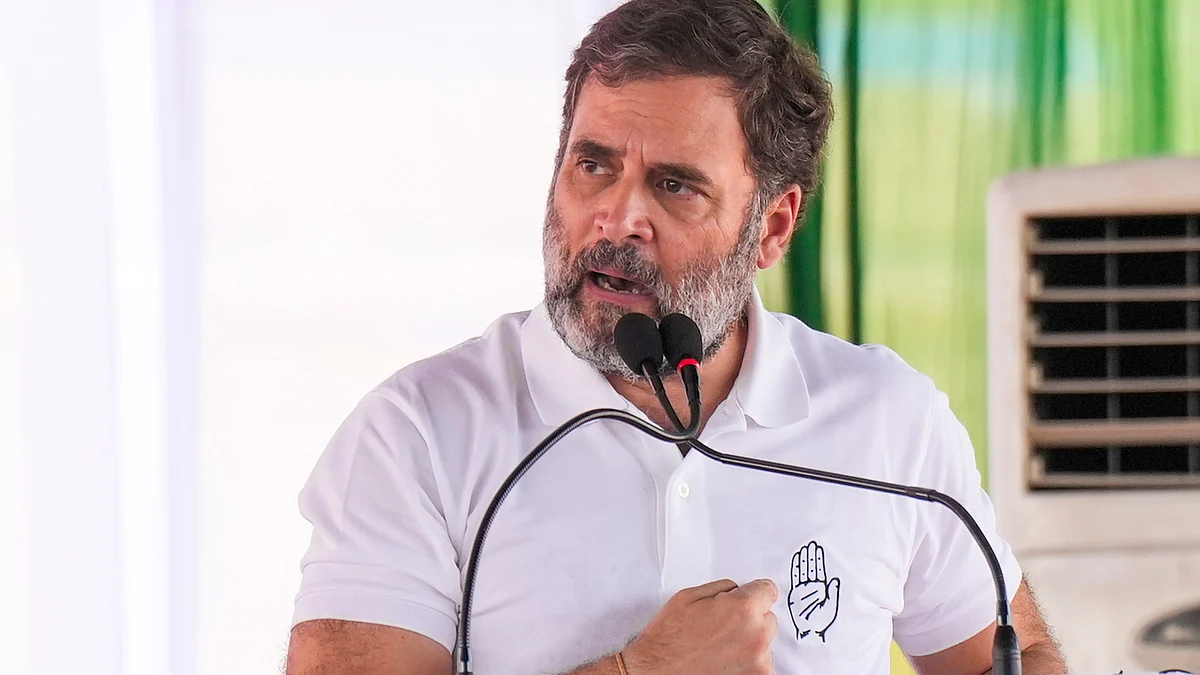 Rahul Gandhi addresses a meeting in Nuh on 3 October (photo: PTI)