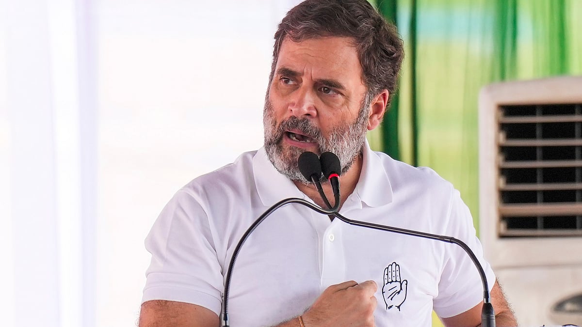 Rahul Gandhi addresses a meeting in Nuh on 3 October (photo: PTI)