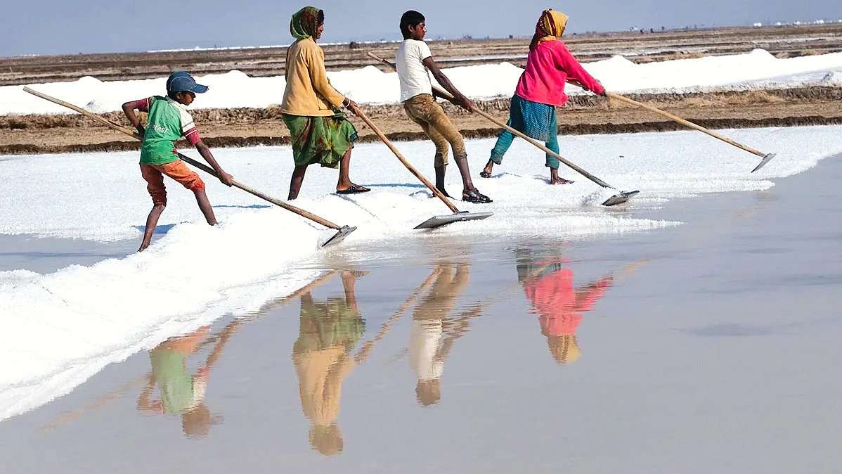 256 acres of Mumbai’s salt pans have been handed over to the Adani Group
