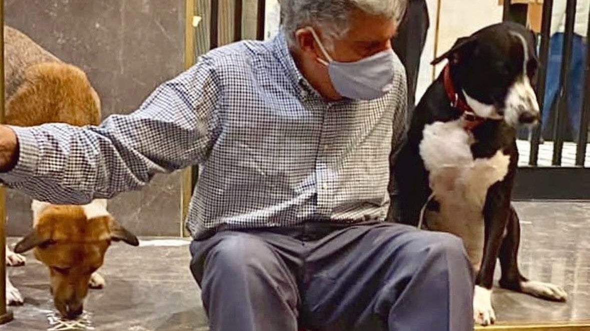 Ratan Tata’s canine companion Goa struggles with last goodbye