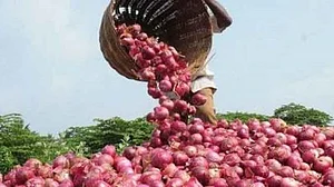 Economic tragedy, will strain household incomes: Congress on high food prices