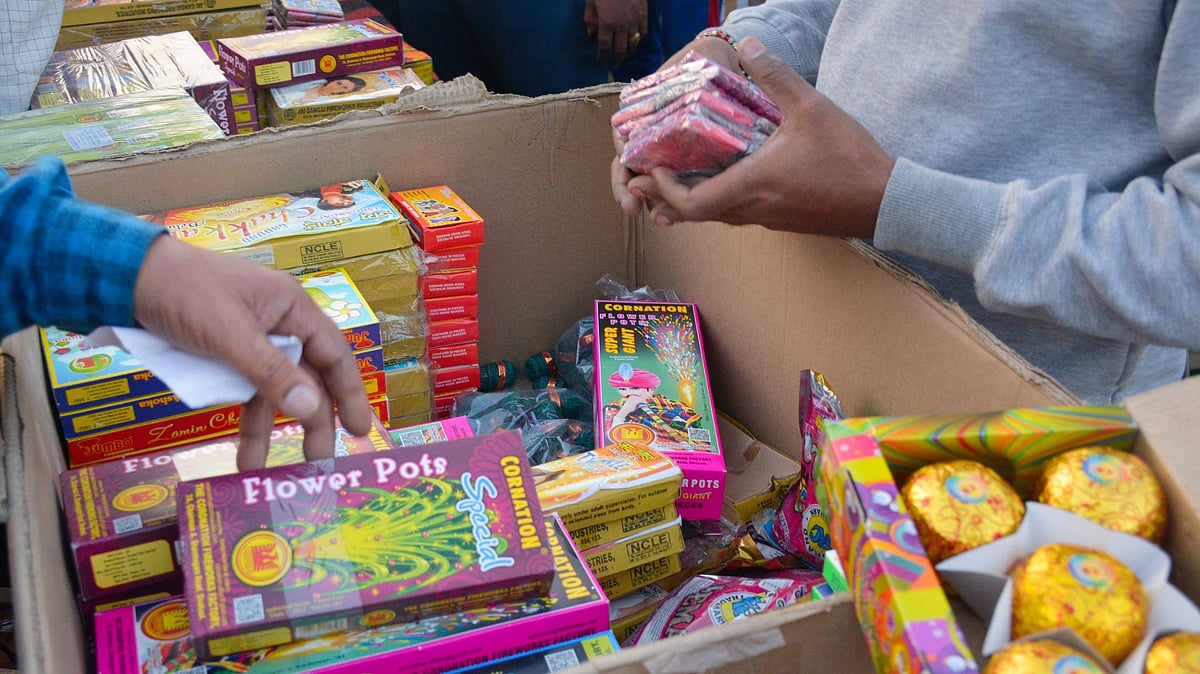 Can't allow sale of firecrackers: Delhi HC