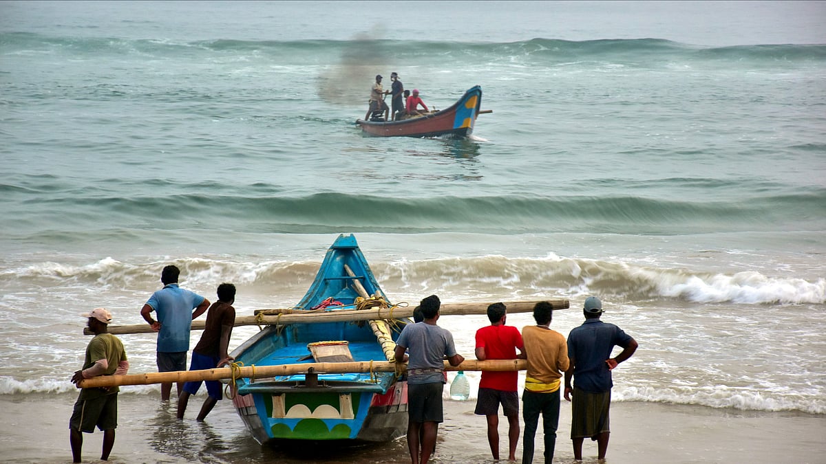 Nature-based solutions key to climate resilience in India's coastal cities: Report