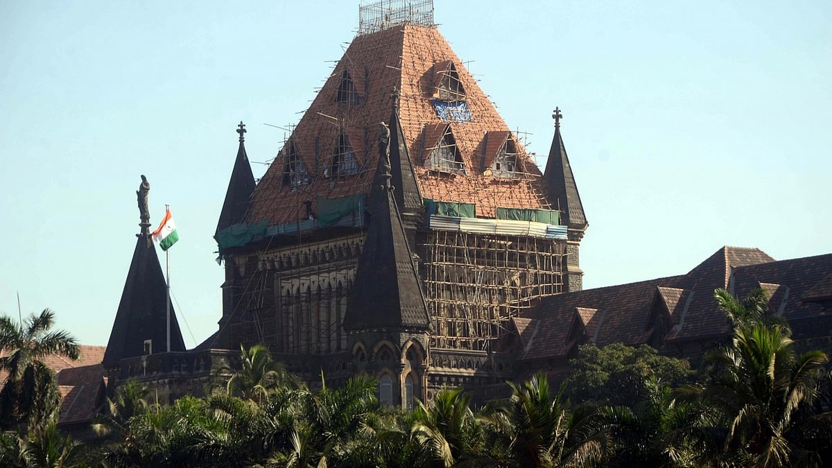 'Rule of law or muscle power?' Bombay HC on plea over illegal constructions