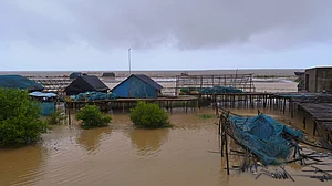 1,600 newborns arrive landside in Odisha, along with Cyclone Dana